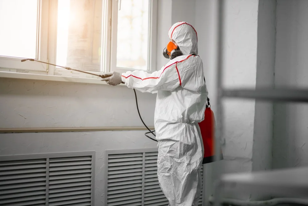 Professional mold remediation services in Harshaw, WI